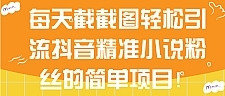 每天截截图轻松引流抖音精准小说粉丝的简单项目！【视频教程】